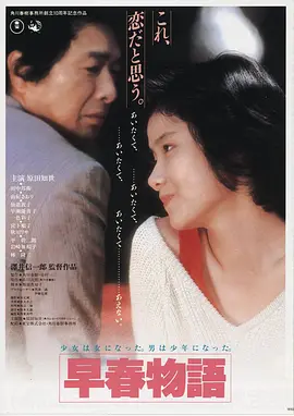 电影《叶问》海报